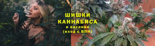 прущие крисы Приозерск