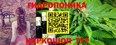 индика Краснодар