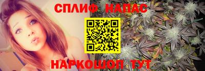 мяу мяу мука Кунгур