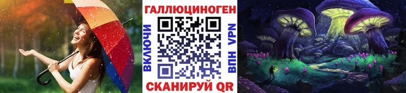 Галлюциногенные грибы Psilocybe Елец