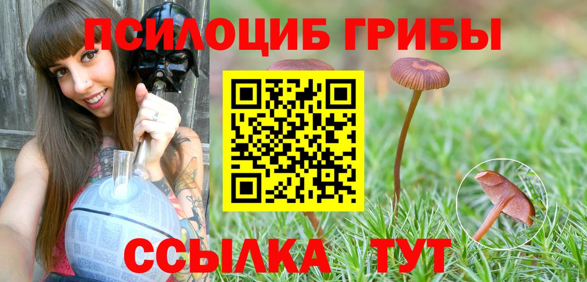 Галлюциногенные грибы MAGIC MUSHROOMS Елец