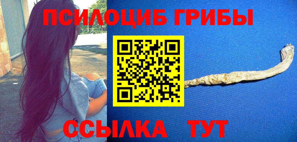 Елец  Галлюциногенные грибы ЛСД  Вход с VPN 