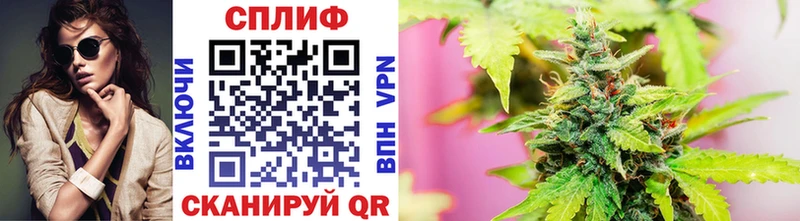Каннабис сатива  Елец 